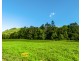 Lots 1-15 Alidenes Road, Mullumbimby NSW 2482