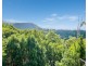 665 Left Bank Road, Mullumbimby Creek NSW 2482