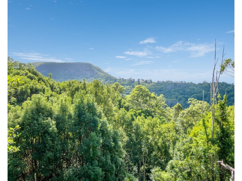 665 Left Bank Road, Mullumbimby Creek NSW 2482