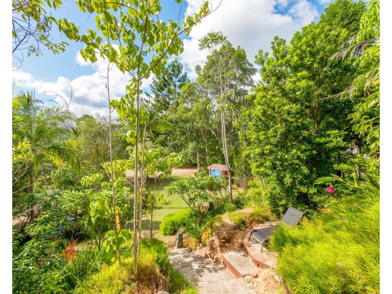665 Left Bank Road, Mullumbimby Creek NSW 2482