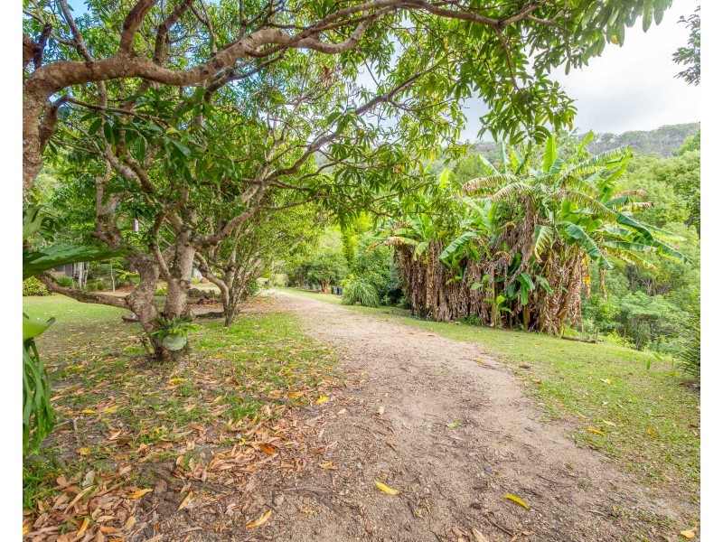 665 Left Bank Road, Mullumbimby Creek NSW 2482
