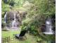 665 Left Bank Road, Mullumbimby Creek NSW 2482