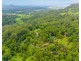 665 Left Bank Road, Mullumbimby Creek NSW 2482
