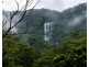 665 Left Bank Road, Mullumbimby Creek NSW 2482
