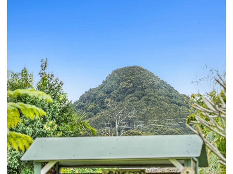 10 Chinbible Avenue, Mullumbimby NSW 2482