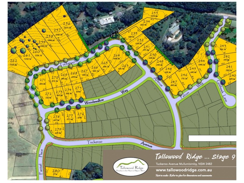Lot 240 to 280 Tuckeroo Ave, Mullumbimby NSW 2482