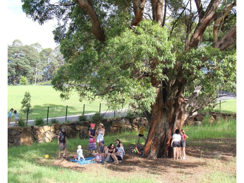 Lot 240 to 280 Tuckeroo Ave, Mullumbimby NSW 2482