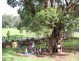 Lot 240 to 280 Tuckeroo Ave, Mullumbimby NSW 2482