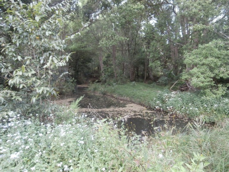 139 Chowan Creek Road, Uki NSW 2484