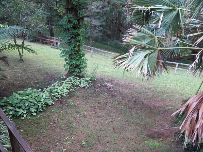 141 Smiths Creek Road, Uki NSW 2484