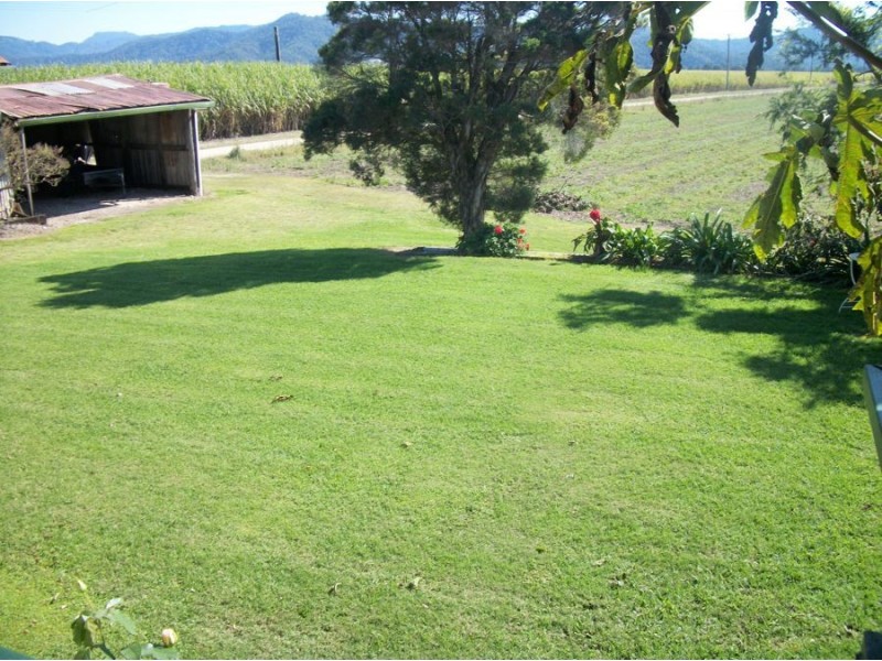 599 Tumbulgum Road, Murwillumbah NSW 2484