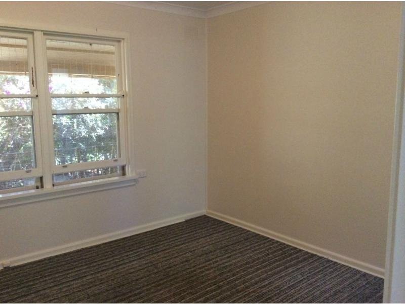 Murwillumbah NSW 2484