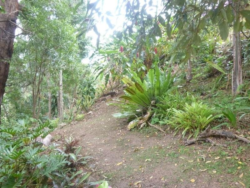 Murwillumbah NSW 2484