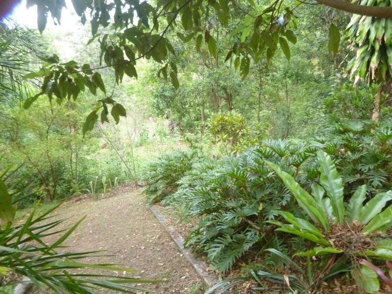 Murwillumbah NSW 2484