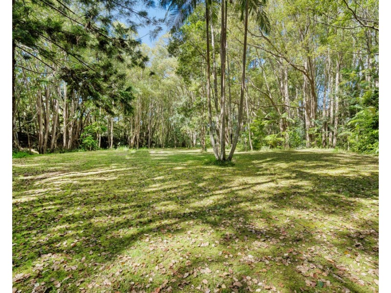 141 Smiths Creek Road, Uki NSW 2484