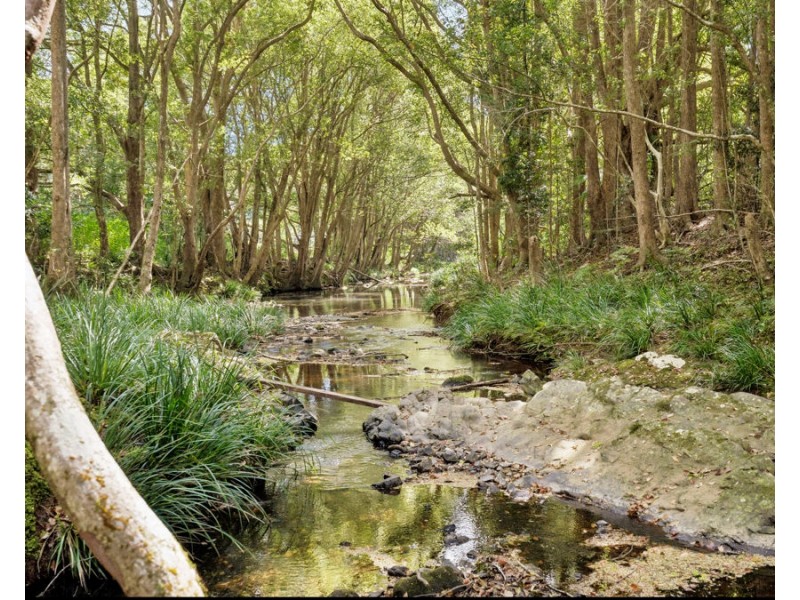 141 Smiths Creek Road, Uki NSW 2484