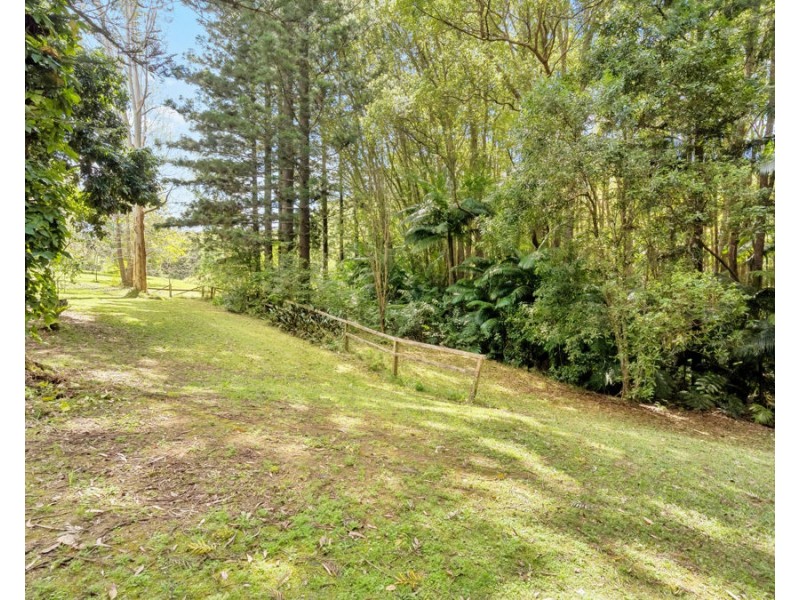 141 Smiths Creek Road, Uki NSW 2484