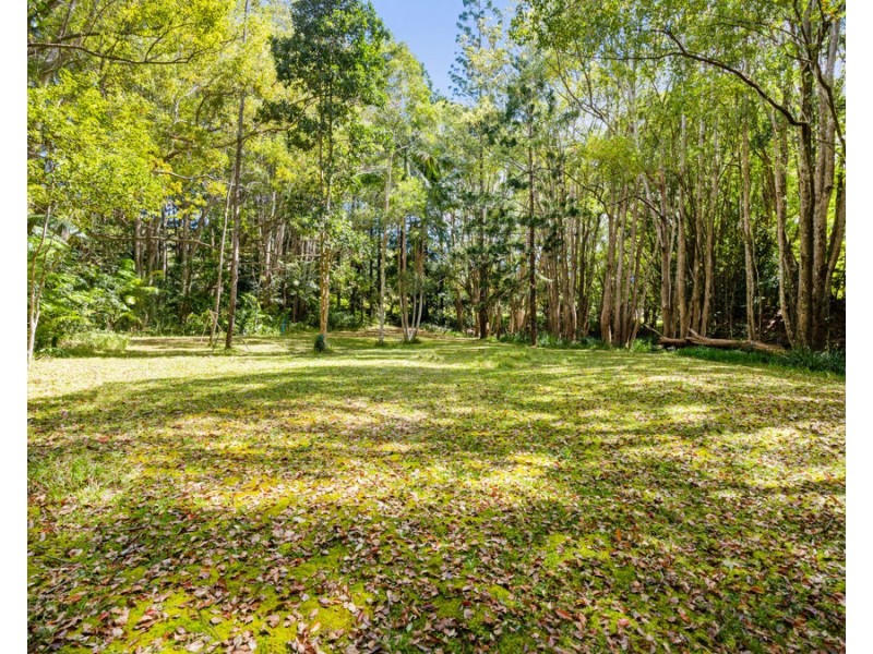141 Smiths Creek Road, Uki NSW 2484