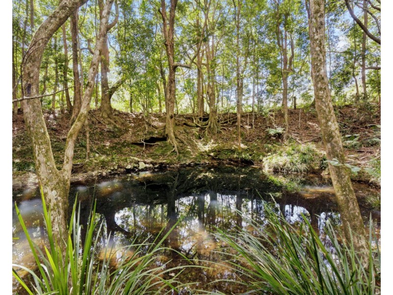 141 Smiths Creek Road, Uki NSW 2484