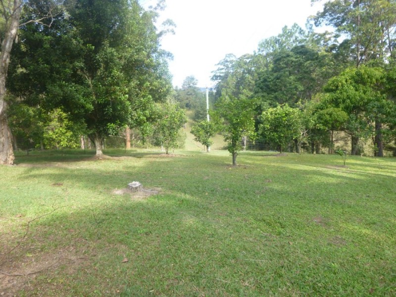 Murwillumbah NSW 2484