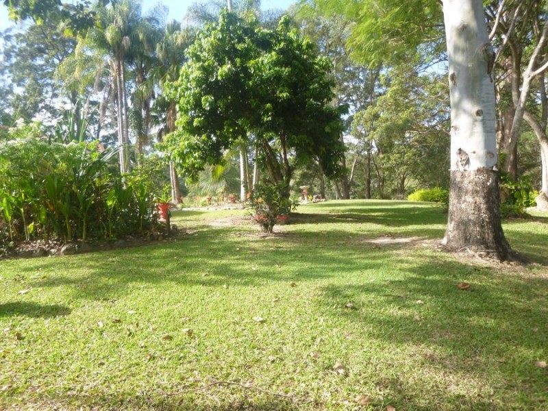 Murwillumbah NSW 2484