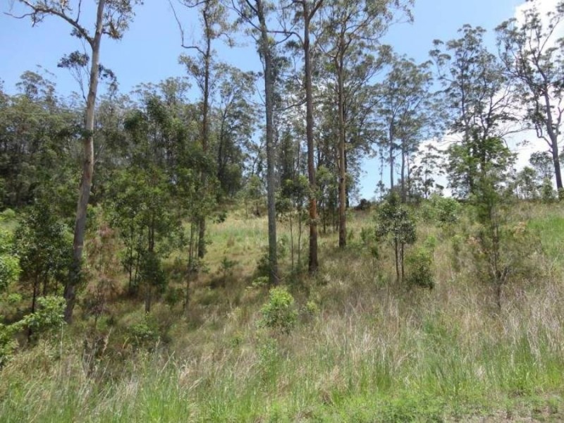 208 Everinghams Road, Tyalgum NSW 2484