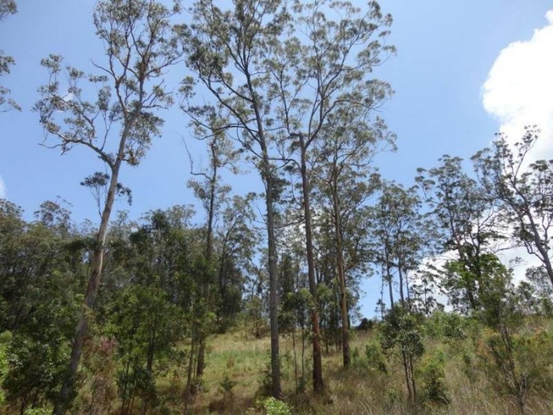 208 Everinghams Road, Tyalgum NSW 2484