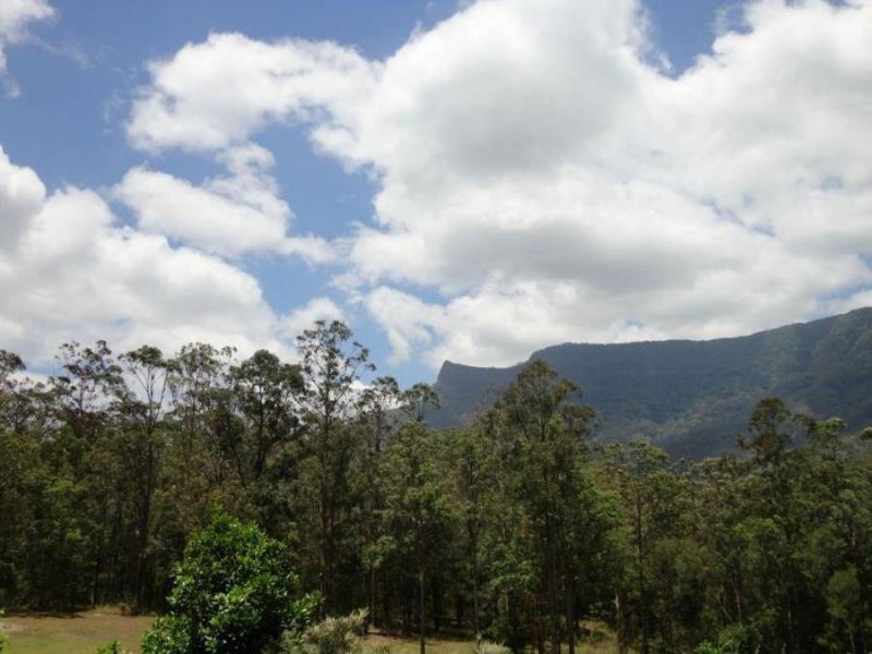 208 Everinghams Road, Tyalgum NSW 2484