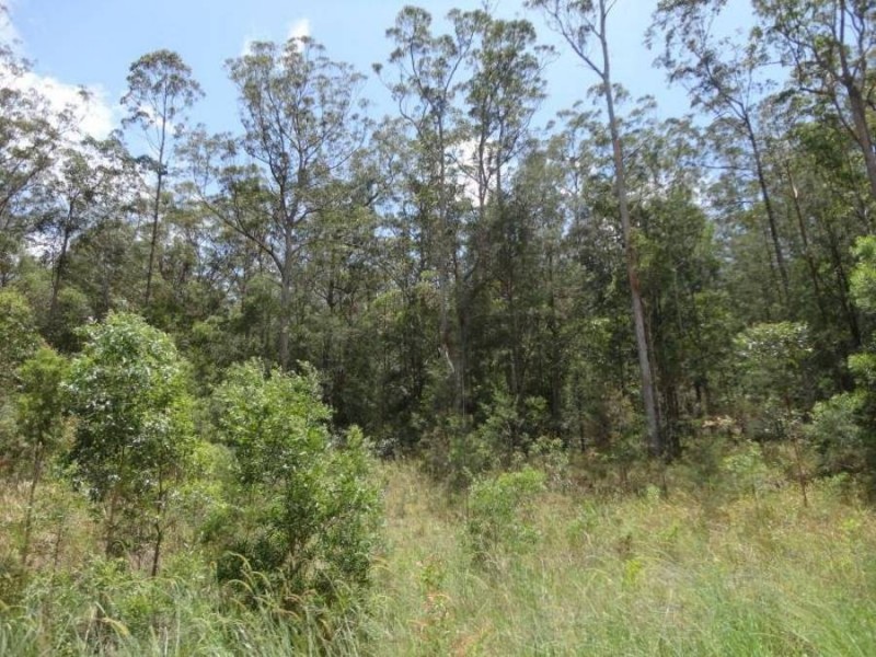 208 Everinghams Road, Tyalgum NSW 2484