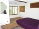 Murwillumbah NSW 2484