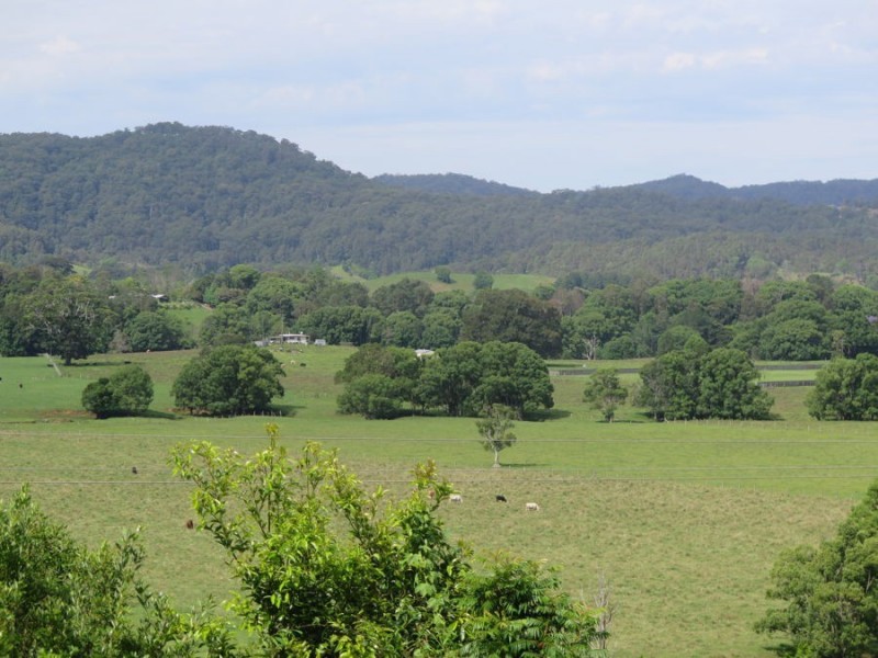 Murwillumbah NSW 2484