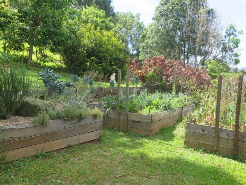 Murwillumbah NSW 2484