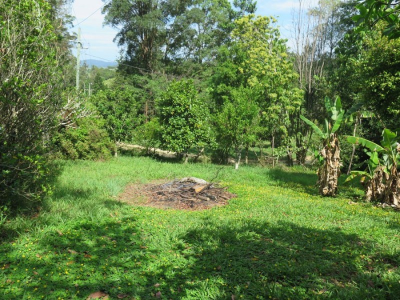 Murwillumbah NSW 2484