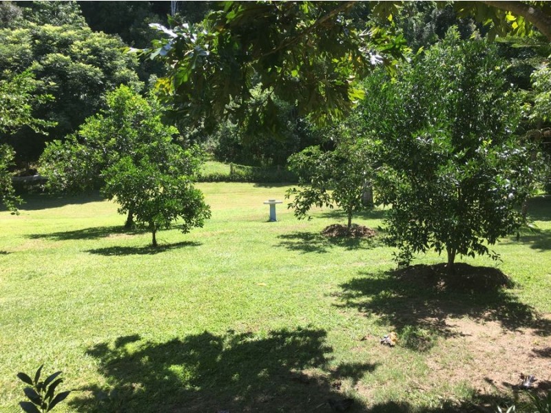 50 Smiths Creek Road, Uki NSW 2484