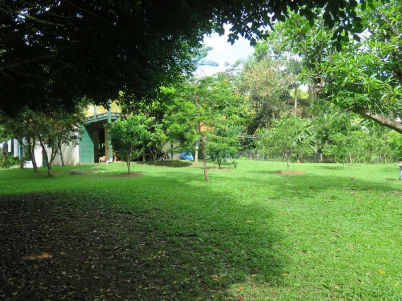 50 Smiths Creek Road, Uki NSW 2484