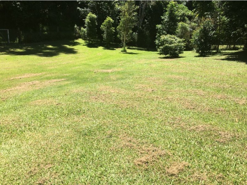 50 Smiths Creek Road, Uki NSW 2484