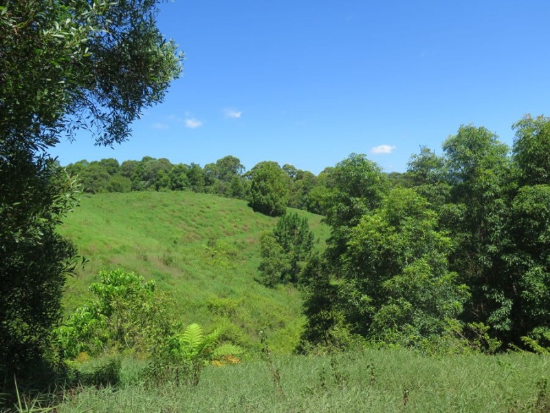 330 Fernvale Road, Fernvale NSW 2484