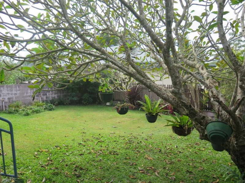 64 Riverview Street, Murwillumbah NSW 2484