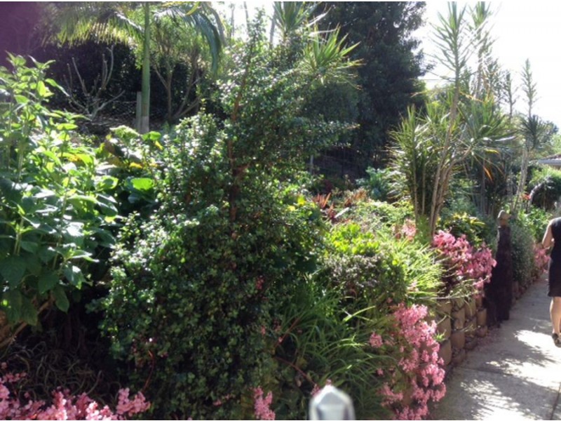 Bray Park NSW 2484