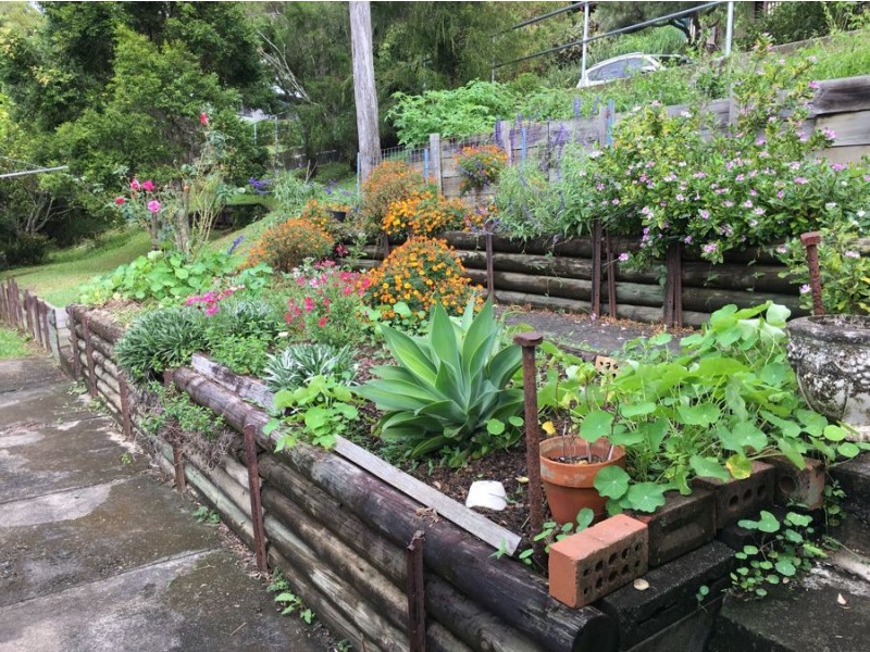 53 Myrtle Street, Murwillumbah NSW 2484