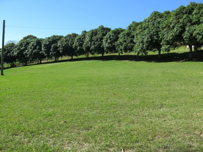 872 Clothiers Creek Road, Murwillumbah NSW 2484