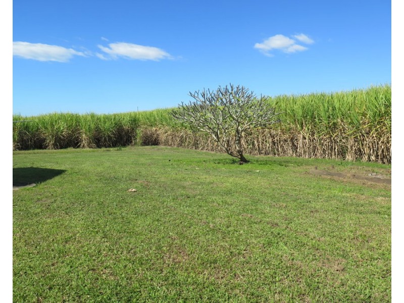 597 Tumbulgum Road, Murwillumbah NSW 2484