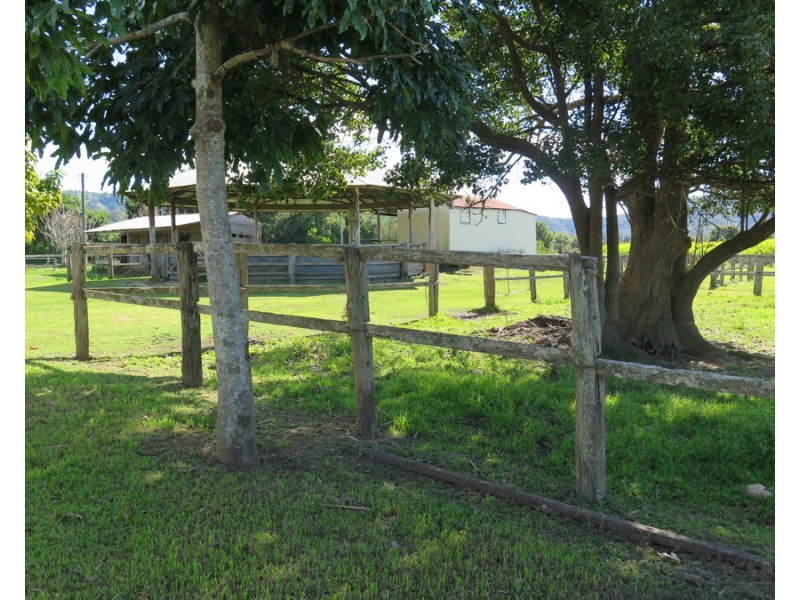 597 Tumbulgum Road, Murwillumbah NSW 2484