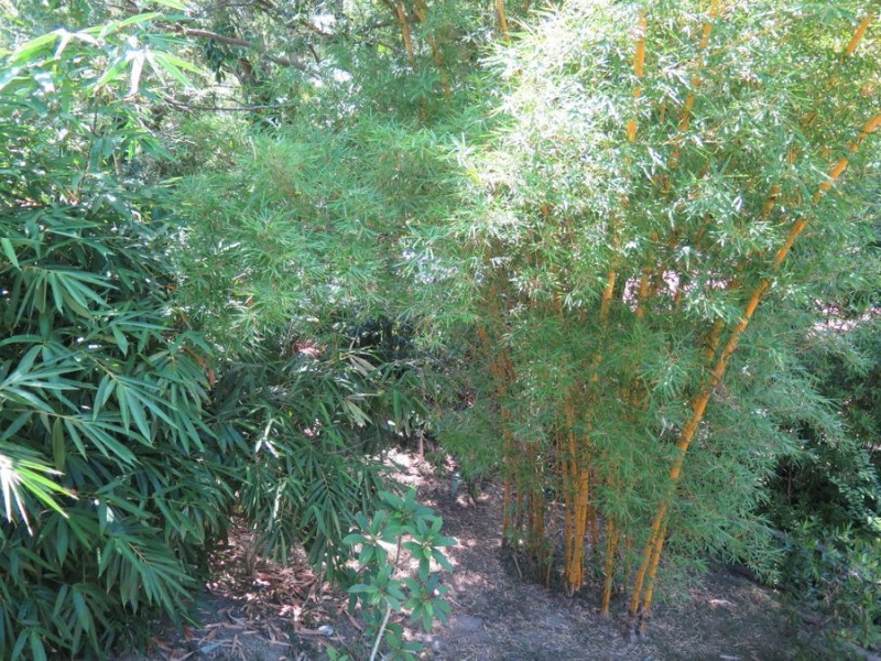 122 Byangum Road, Murwillumbah NSW 2484