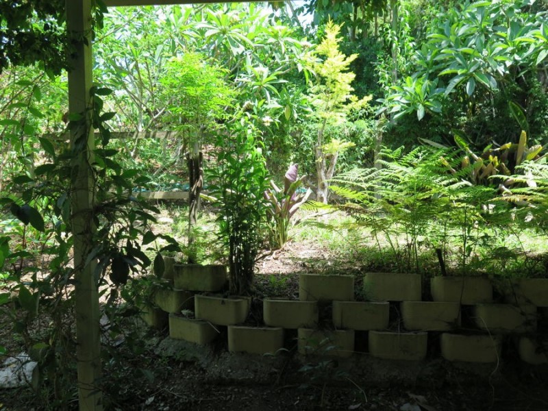 122 Byangum Road, Murwillumbah NSW 2484