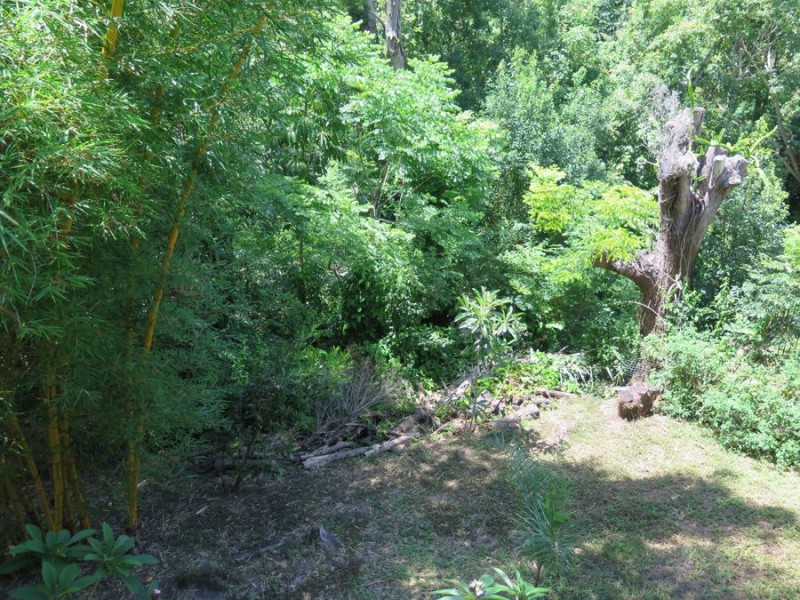 122 Byangum Road, Murwillumbah NSW 2484