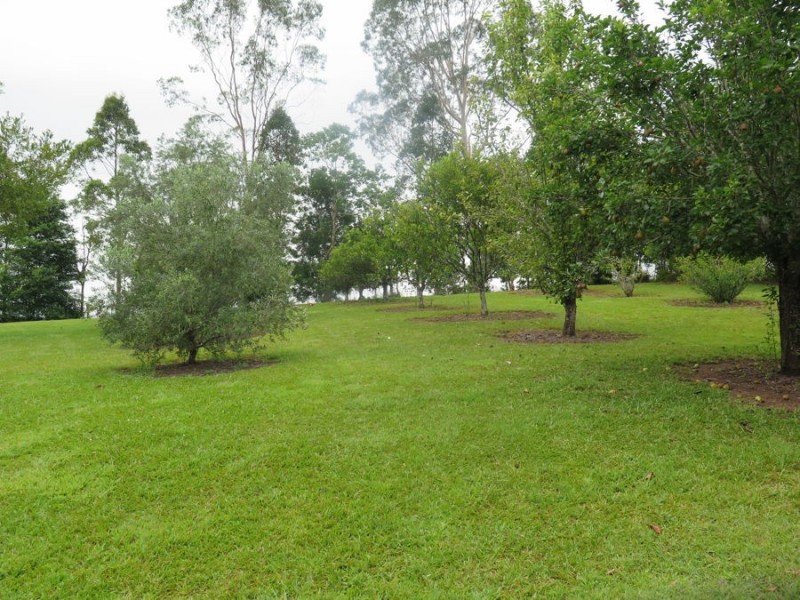 29 Turpentine Place, Tyalgum NSW 2484