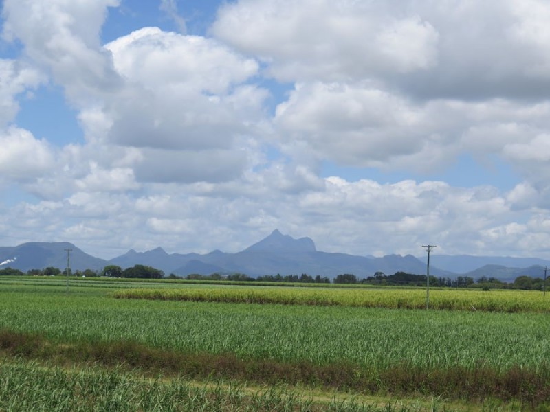 8816 Tweed Valley Way, Tumbulgum NSW 2490