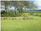 477 Tumbulgum Road, Murwillumbah NSW 2484