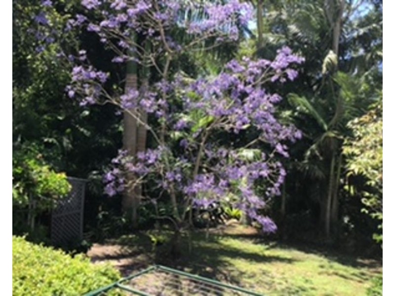 Unit 4/44 Brisbane Street, Murwillumbah NSW 2484